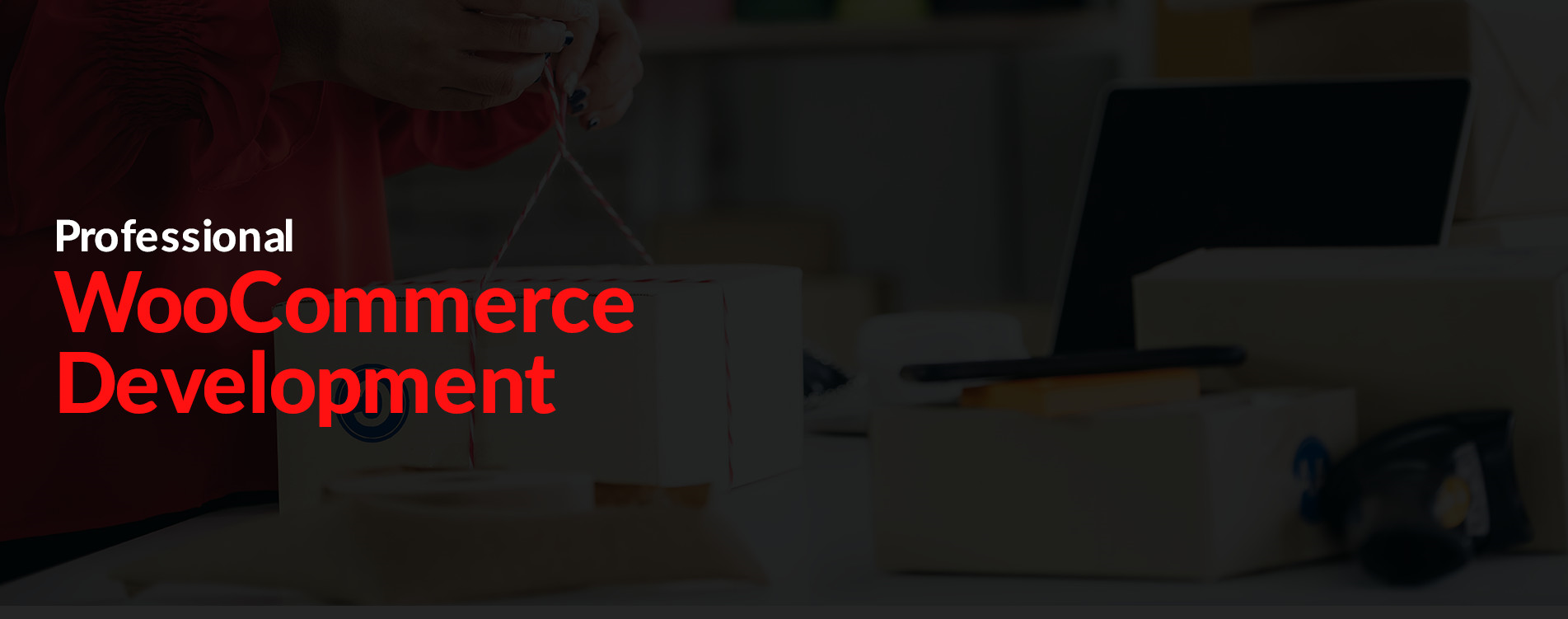 woocommerce service provider companies chicago